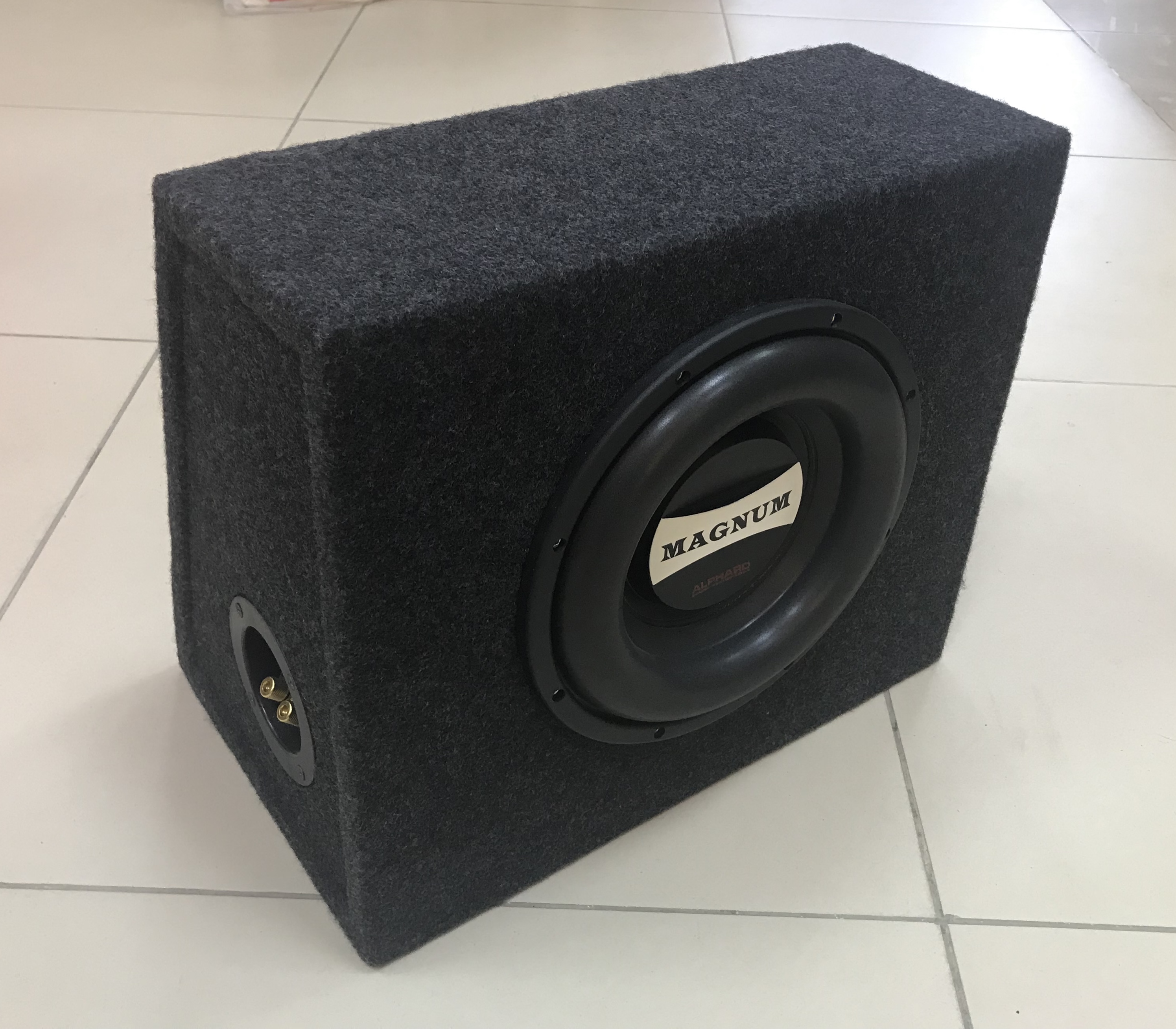 Корпусной пассивный сабвуфер Alphard Magnum M10 BOX